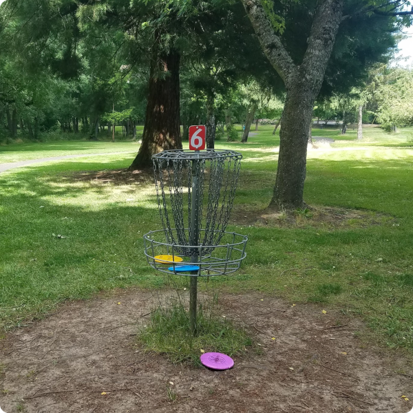 Disc Golf